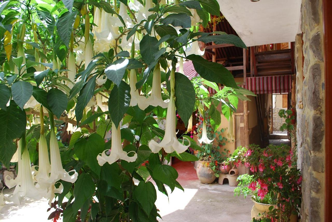 Bed and Breakfast Kiswar Lodg à Ollantaytambo Extérieur photo